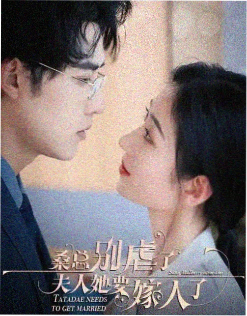 热播剧集